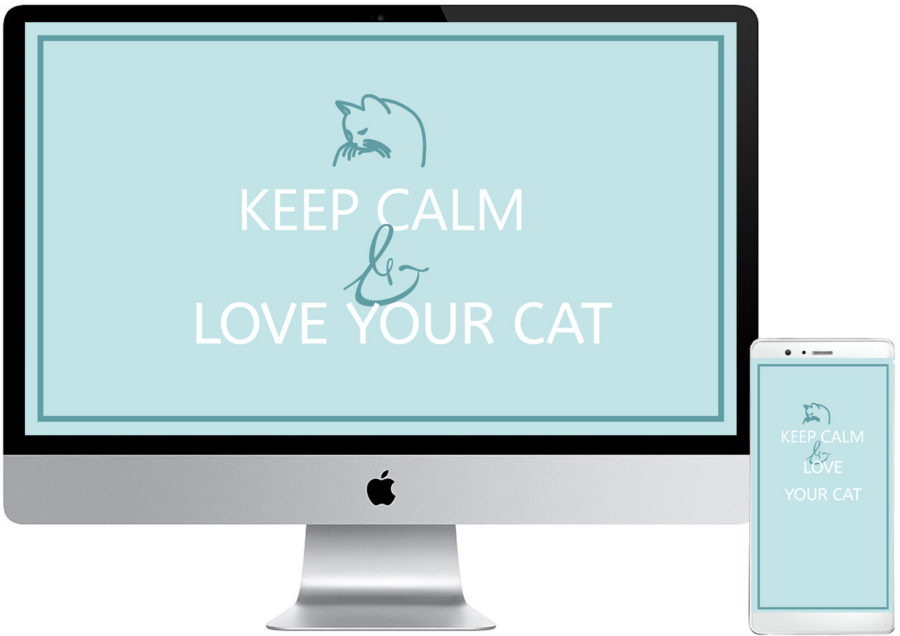 Free Katzen Desktop Hintergrund Wallpaper